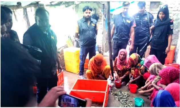 ৭০০ কেজি ক্ষতিকর জেলি পুশকৃত চিংড়ি জব্দ, ৪ ব্যবসায়ীকে কারাদণ্ড